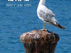ים מדבר ומה שביניהם – ספרו של רב חובל עודד גול-ורדי