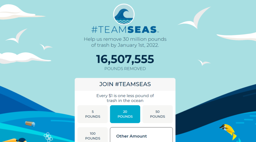 הצטרפו לתנועת ניקוי הימים והאוקיינוס ​​שלנו Teamseas# 🌊