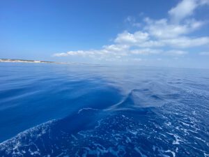 לטעות או להיות